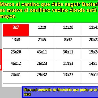 Bacterita (I)