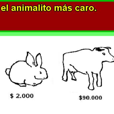 Identificar el animal con el precio mayor de venta