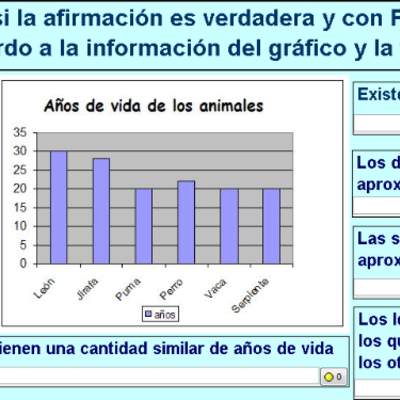 Año de vida de los animales