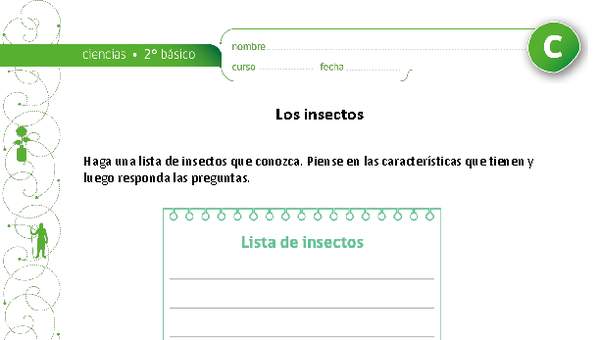 Los insectos