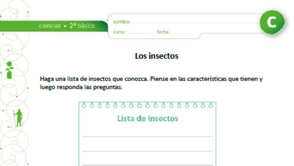 Los insectos