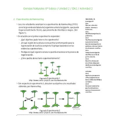 Ciencias Naturales 8° básico-Unidad 2-OA2-Actividad 2