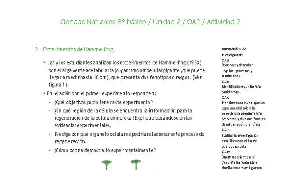 Ciencias Naturales 8° básico-Unidad 2-OA2-Actividad 2