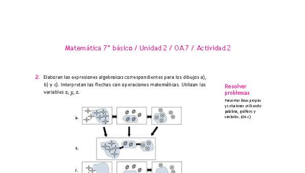 Matemática 7° básico -Unidad 2-OA 7-Actividad 2