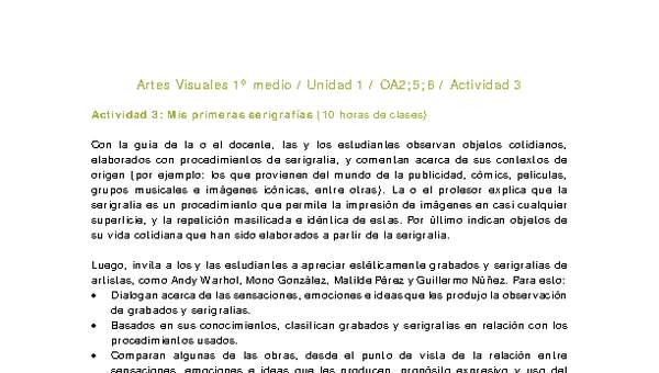 Artes Visuales 1 medio-Unidad 1-OA2;5;6-Actividad 3