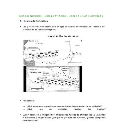 Ciencias Naturales 1 medio-Unidad 1-OA1-Actividad 6