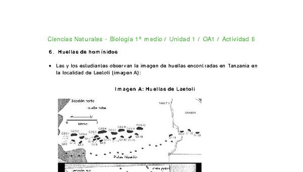 Ciencias Naturales 1 medio-Unidad 1-OA1-Actividad 6