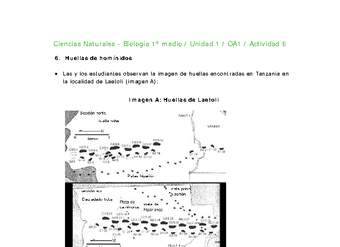 Ciencias Naturales 1 medio-Unidad 1-OA1-Actividad 6