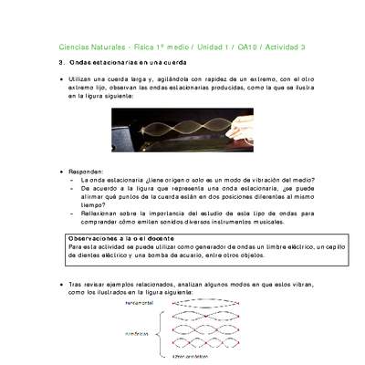 Ciencias Naturales 1 medio-Unidad 1-OA10-Actividad 3