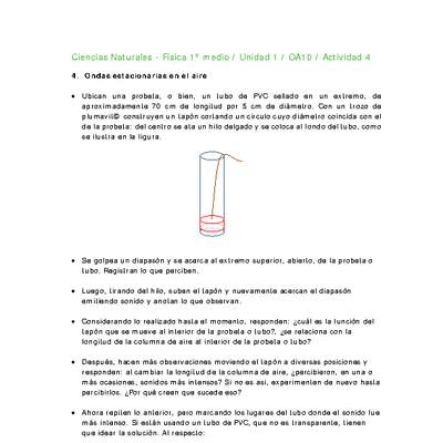 Ciencias Naturales 1 medio-Unidad 1-OA10-Actividad 4