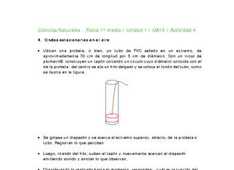 Ciencias Naturales 1 medio-Unidad 1-OA10-Actividad 4