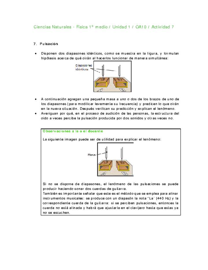 Ciencias Naturales 1 medio-Unidad 1-OA10-Actividad 7