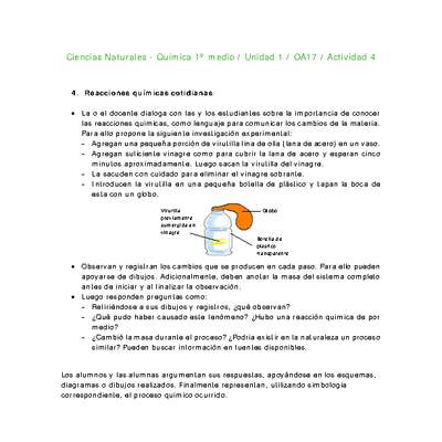 Ciencias Naturales 1 medio-Unidad 1-OA17-Actividad 4