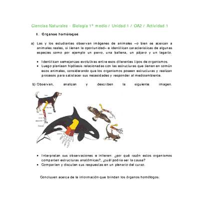 Ciencias Naturales 1 medio-Unidad 1-OA2-Actividad 1