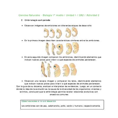 Ciencias Naturales 1 medio-Unidad 1-OA2-Actividad 2