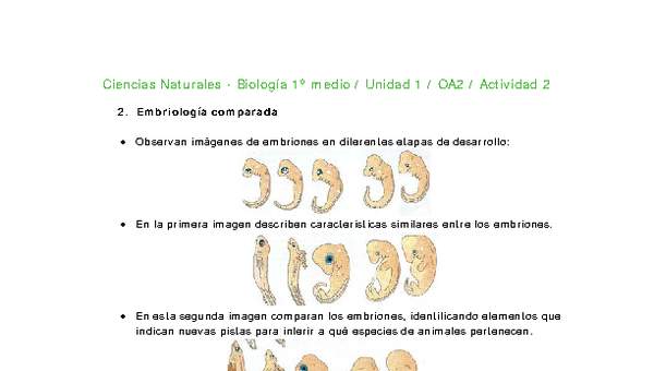 Ciencias Naturales 1 medio-Unidad 1-OA2-Actividad 2