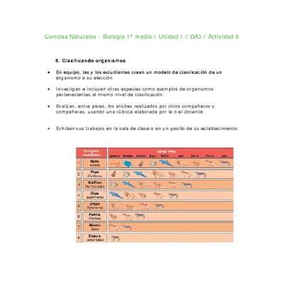 Ciencias Naturales 1 medio-Unidad 1-OA3-Actividad 6