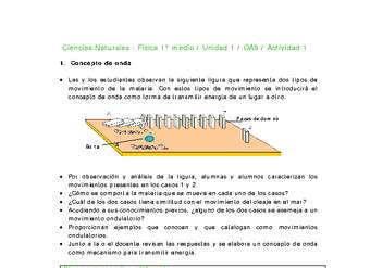 Ciencias Naturales 1 medio-Unidad 1-OA9-Actividad 1