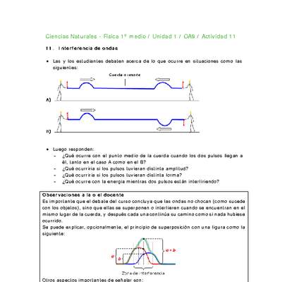 Ciencias Naturales 1 medio-Unidad 1-OA9-Actividad 11