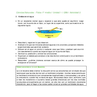 Ciencias Naturales 1 medio-Unidad 1-OA9-Actividad 2