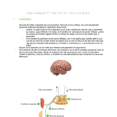 Ciencias Naturales 2 medio-Unidad 1-OA1-Actividad 3