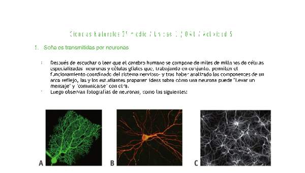 Ciencias Naturales 2 medio-Unidad 1-OA1-Actividad 5