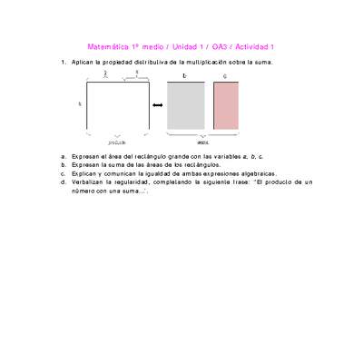 Matemática 1 medio-Unidad 1-OA3-Actividad 1