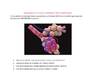 Matemática 2 medio-Unidad 1-OA7-Actividad 6