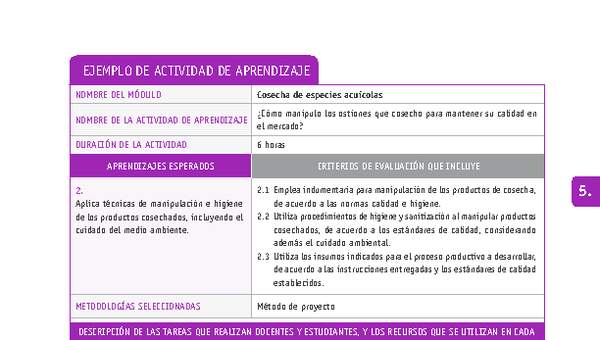 ¿Cómo manipulo los ostiones que cosecho para mantener su calidad en el mercado?