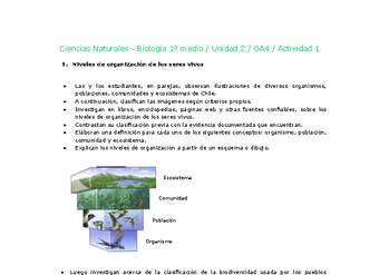 Ciencias Naturales 1 medio-Unidad 2-OA4-Actividad 1