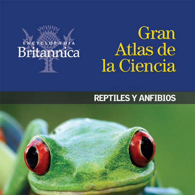 Reptiles y anfibios