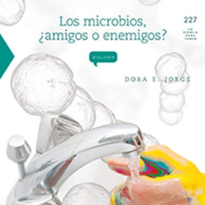 Los microbios ¿amigos o enemigos?