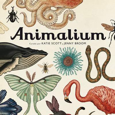 Animalium