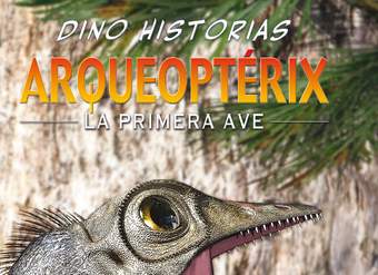 Arqueoptérix. La primera ave