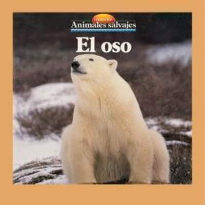 El oso