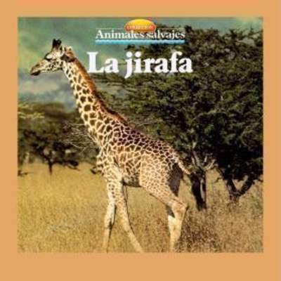 La jirafa