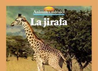 La jirafa