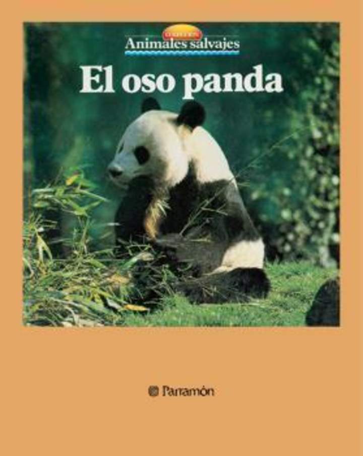 El oso panda