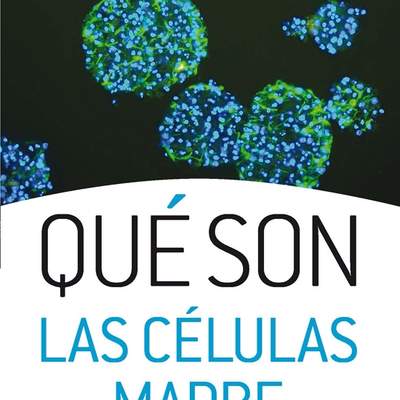 Qué son las células madre