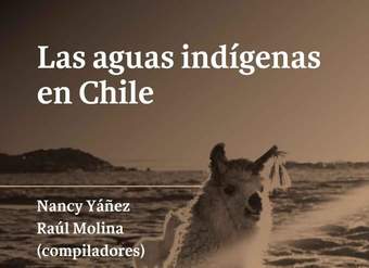 Las aguas indígenas en Chile