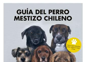 Guía del perro mestizo chileno