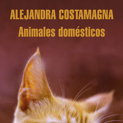 Animales domésticos