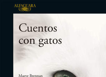 Cuentos con gatos