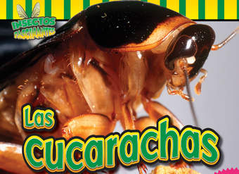 Las cucarachas