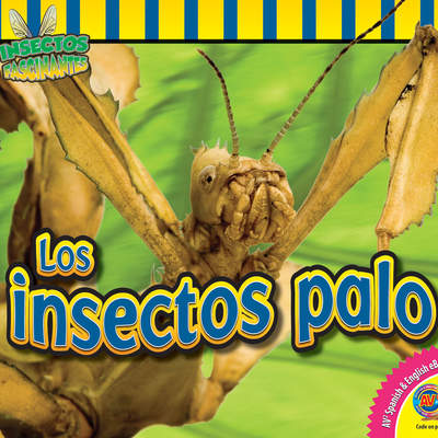 Los insectos palo