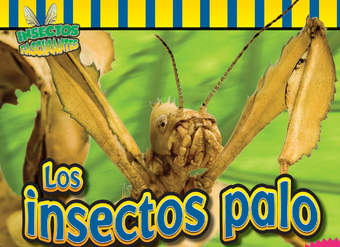 Los insectos palo