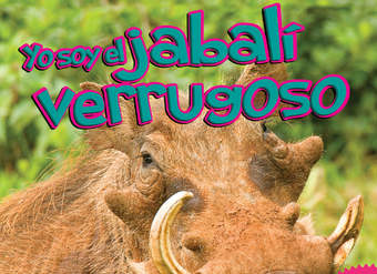 El jabalí verrugoso