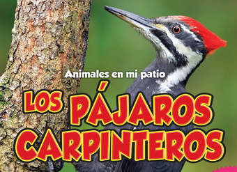 Los pájaros carpinteros