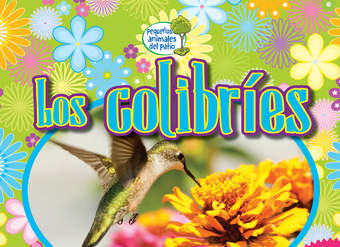 Los colibríes