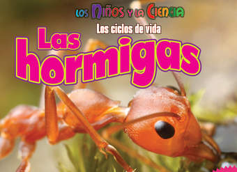 Las hormigas